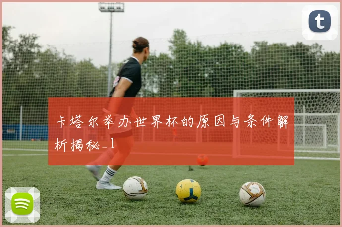卡塔尔举办世界杯的原因与条件解析揭秘_1